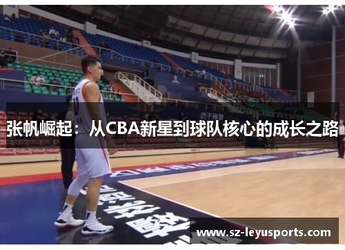 张帆崛起：从CBA新星到球队核心的成长之路